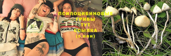 мет Аркадак